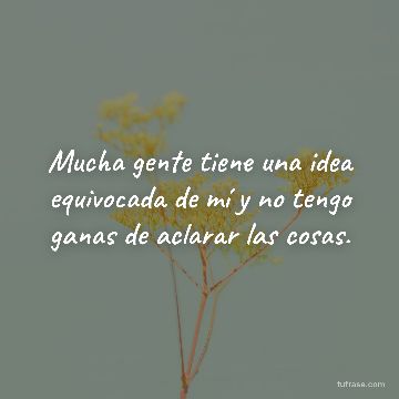 Mucha gente tiene una idea equivocada de mí y no tengo ganas de aclarar las cosas.