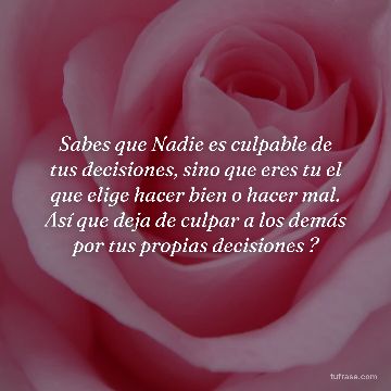 Sabes que Nadie es culpable de tus decisiones, sino que eres tu el que elige hacer bien o hacer mal. Así que deja de culpar a los demás por tus propias decisiones ?