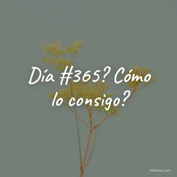Día #365? Cómo lo consigo?