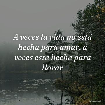 A veces la vida no está hecha para amar, a veces esta hecha para llorar