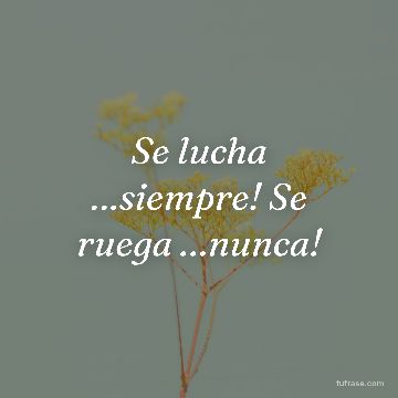 Se lucha …siempre! Se ruega …nunca!