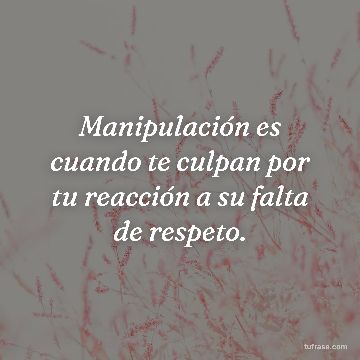 Manipulación es cuando te culpan por tu reacción a su falta de respeto.