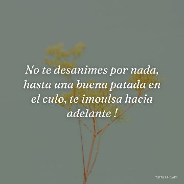 No te desanimes por nada, hasta una buena patada en el culo, te imoulsa hacia adelante !