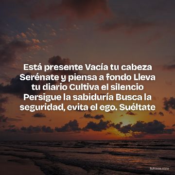 Está presente Vacía tu cabeza Serénate y piensa a fondo Lleva tu diario Cultiva el silencio Persigue la sabiduría Busca la seguridad, evita el ego. Suéltate