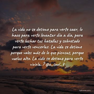 La vida no se detiene para verte caer, lo hace para verte levantar día a día, para verte luchar tus batallas y sobretodo para verte vencerlas. La vida se detiene porque vales más de lo que piensas, porque vuelas alto. La vida se detiene para verte vivirla..? @c_soul_7