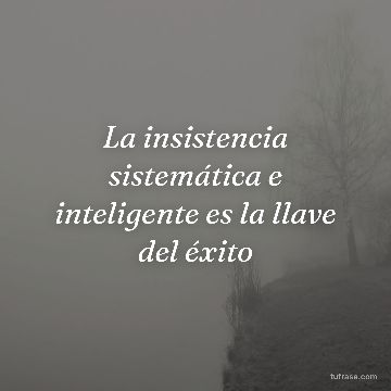 La insistencia sistemática e inteligente es la llave del éxito