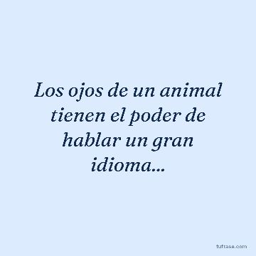 Los ojos de un animal tienen el poder de hablar un gran idioma...