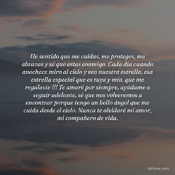 He sentido que me cuidas, me proteges, me abrazas y sé que estas conmigo. Cada día cuando anochece miro al cielo y veo nuestra estrella, esa estrella especial que es tuya y mía, que me regalaste !!! Te amaré por siempre, ayúdame a seguir adelante, sé que nos volveremos a encontrar porque tengo un bello ángel que me cuida desde el cielo. Nunca te olvidaré mi amor, mi compañero de vida.