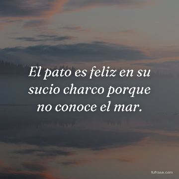 El pato es feliz en su sucio charco porque no conoce el mar.
