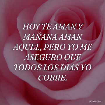 HOY TE AMAN Y MAÑANA AMAN AQUEL, PERO YO ME ASEGURO QUE TODOS LOS DIAS YO COBRE.