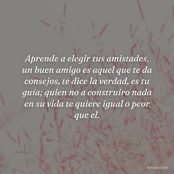 Aprende a elegir tus amistades, un buen amigo es aquel que te da consejos, te dice la verdad, es tu guía; quien no a construiro nada en su vida te quiere igual o peor que el.