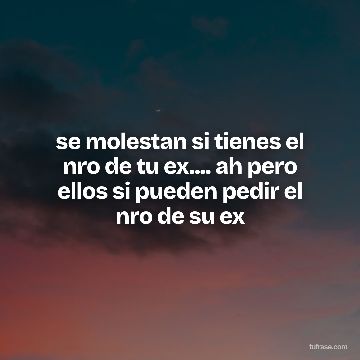 se molestan si tienes el nro de tu ex.... ah pero ellos si pueden pedir el nro de su ex