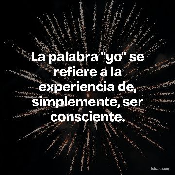 La palabra "yo" se refiere a la experiencia de, simplemente, ser consciente.
