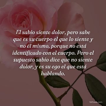 El sabio siente dolor, pero sabe que es su cuerpo el que lo siente y no él mismo, porque no está identificado con el cuerpo. Pero el supuesto sabio dice que no siente dolor, y es su ego el que está hablando.