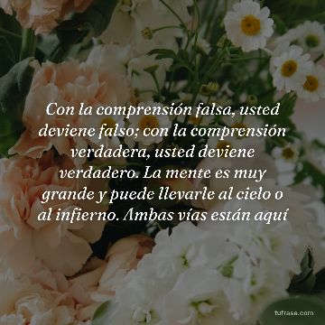 Con la comprensión falsa, usted deviene falso; con la comprensión verdadera, usted deviene verdadero. La mente es muy grande y puede llevarle al cielo o al infierno. Ambas vías están aquí