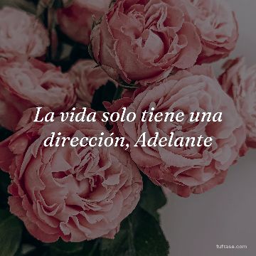 La vida solo tiene una dirección, Adelante