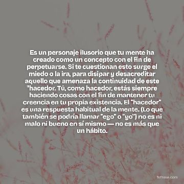 Es un personaje ilusorio que tu mente ha creado como un concepto con el fin de perpetuarse. Si te cuestionan esto surge el miedo o la ira, para disipar y desacreditar aquello que amenaza la continuidad de este "hacedor. Tú, como hacedor, estás siempre haciendo cosas con el fin de mantener tu creencia en tu propia existencia. El "hacedor" es una respuesta habitual de la mente. (Lo que también se podría llamar "ego" o "yo") no es ni malo ni bueno en sí mismo ― no es más que un hábito.