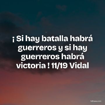 ¡ Si hay batalla habrá guerreros y si hay guerreros habrá victoria ! 11/19 Vidal