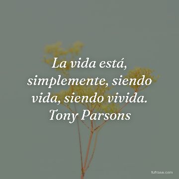La vida está, simplemente, siendo vida, siendo vivida. Tony Parsons