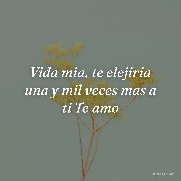 Vida mia, te elejiria una y mil veces mas a ti Te amo