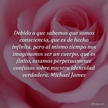 Debido a que sabemos que somos consciencia, que es de hecho infinita, pero al mismo tiempo nos imaginamos ser un cuerpo, que es finito, estamos perpetuamente confusos sobre nuestra identidad verdadera. Michael James