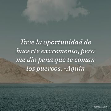 Tuve la oportunidad de hacerte excremento, pero me dio pena que te coman los puercos. -Aquin