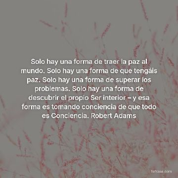 Solo hay una forma de traer la paz al mundo. Solo hay una forma de que tengáis paz. Solo hay una forma de superar los problemas. Solo hay una forma de descubrir el propio Ser interior – y esa forma es tomando conciencia de que todo es Conciencia. Robert Adams