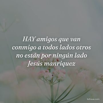 HAY amigos que van conmigo a todos lados otros no están por ningún lado Jesús manriquez