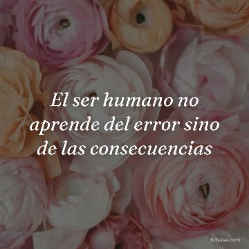 El ser humano no aprende del error sino de las consecuencias