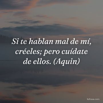 Si te hablan mal de mí, créeles; pero cuídate de ellos. (Aquin)