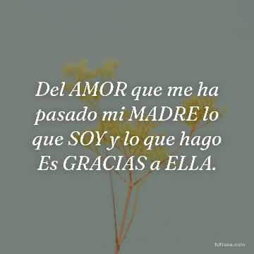 Del AMOR que me ha pasado mi MADRE lo que SOY y lo que hago Es GRACIAS a ELLA.