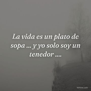 La vida es un plato de sopa ... y yo solo soy un tenedor ....