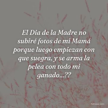 El Dia de la Madre no subiré fotos de mi Mamá porque luego empiezan con que suegra, y se arma la pelea con todo mi ganado...??