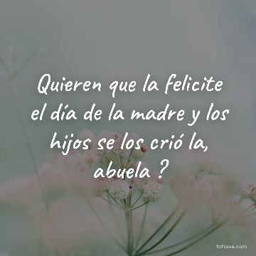 Quieren que la felicite el día de la madre y los hijos se los crió la, abuela ?
