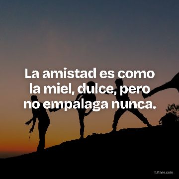 La amistad es como la miel, dulce, pero no empalaga nunca.