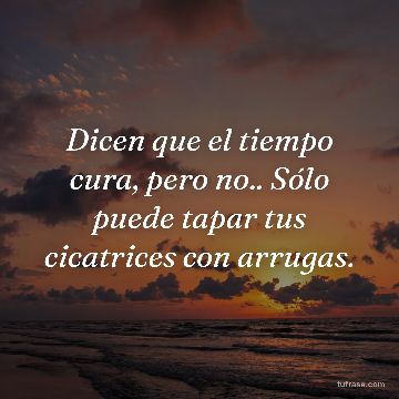 Dicen que el tiempo cura, pero no.. Sólo puede tapar tus cicatrices con arrugas.