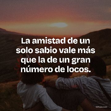 La amistad de un solo sabio vale más que la de un gran número de locos.
