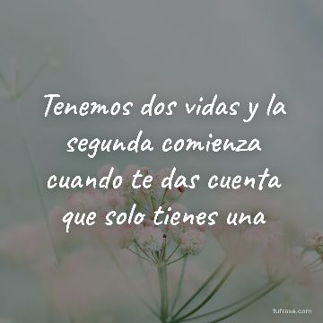 Tenemos dos vidas y la segunda comienza cuando te das cuenta que solo tienes una