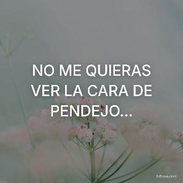 NO ME QUIERAS VER LA CARA DE PENDEJO...