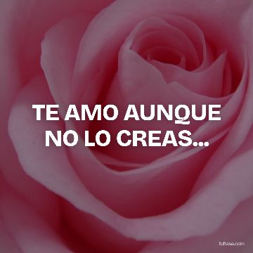 TE AMO AUNQUE NO LO CREAS...