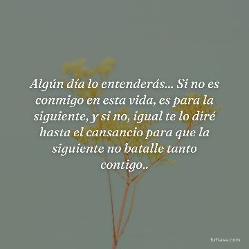 Algún día lo entenderás... Si no es conmigo en esta vida, es para la siguiente, y si no, igual te lo diré hasta el cansancio para que la siguiente no batalle tanto contigo..