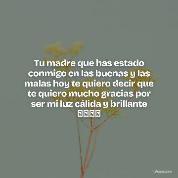 Tu madre que has estado conmigo en las buenas y las malas hoy te quiero decir que te quiero mucho gracias por ser mi luz cálida y brillante 💖💖🥰🥰