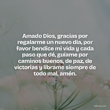 Amado Dios, gracias por regalarme un nuevo día, por favor bendice mi vida y cada paso que dé, guíame por caminos buenos, de paz, de victorias y librame siempre de todo mal, amén.