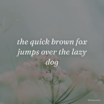 the quick brown fox jumps over the lazy dog