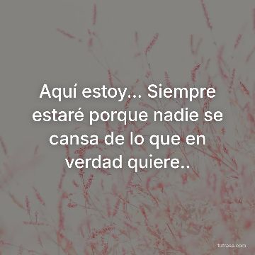 Aquí estoy... Siempre estaré porque nadie se cansa de lo que en verdad quiere..