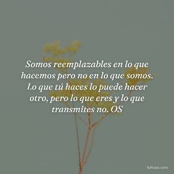 Somos reemplazables en lo que hacemos pero no en lo que somos. Lo que tú haces lo puede hacer otro, pero lo que eres y lo que transmites no. OS
