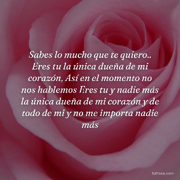 Sabes lo mucho que te quiero.. Eres tu la única dueña de mi corazón, Así en el momento no nos hablemos Eres tu y nadie más la única dueña de mi corazón y de todo de mi y no me importa nadie más