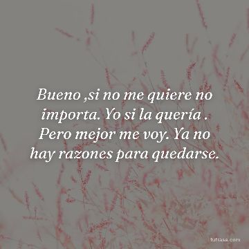 Bueno ,si no me quiere no importa. Yo si la quería . Pero mejor me voy. Ya no hay razones para quedarse.
