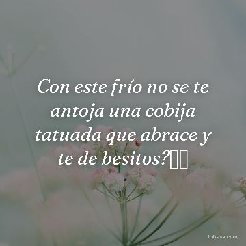 Con este frío no se te antoja una cobija tatuada que abrace y te de besitos?🥰🤭
