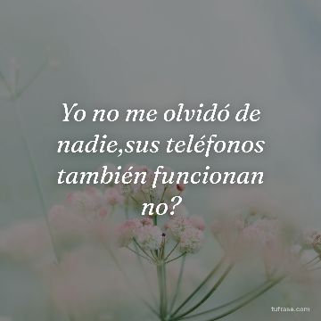 Yo no me olvidó de nadie,sus teléfonos también funcionan no?